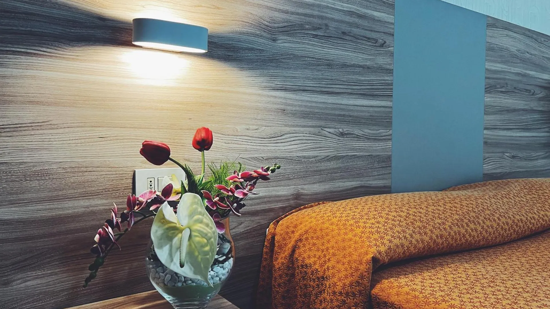 **  Hotel Ramona Rimini Itália